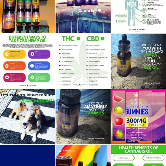 Meet your Posher, Luke - Picture 4 of 10